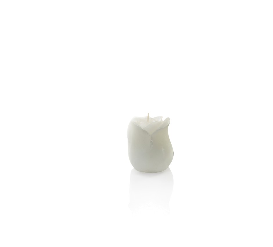 Candela rosa bianca h. 80