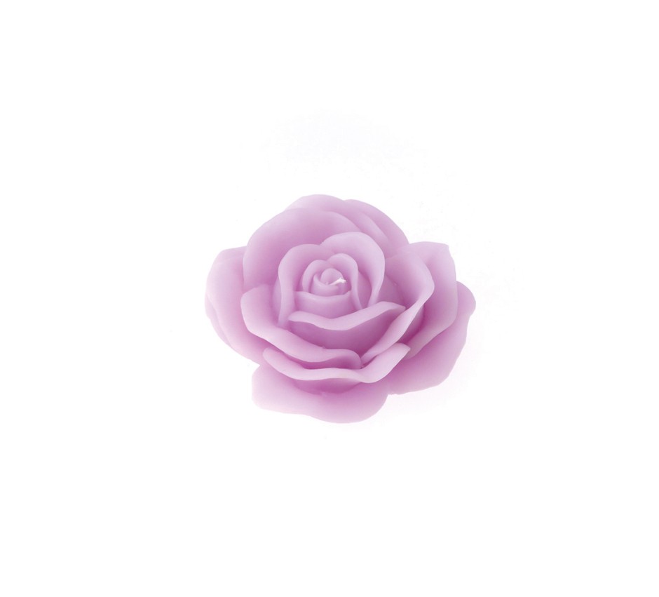 Rosa colorata diam. 100 mm