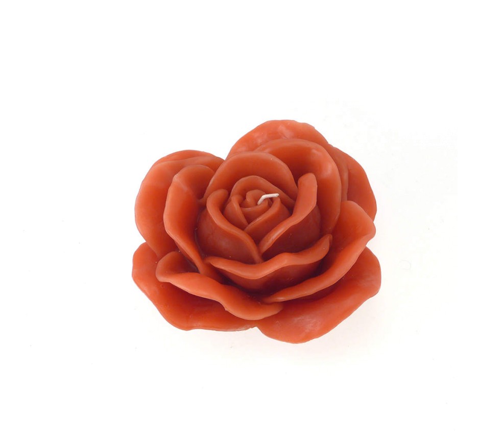 Rosa d. 170 mm in gift box con nastro