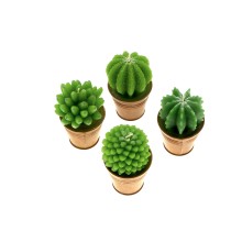 Cactus in vasetto (4 decori assortiti)