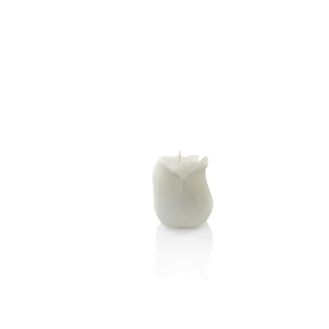 Candela rosa bianca h. 80
