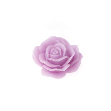 Rosa colorata diam. 100 mm